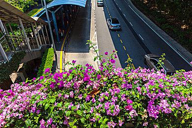 《瓦尔法瑞斯》续作发布预告片 采用2.5D风格